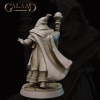 Wizard of the Queen von Galaad Miniatures aus Escort the...