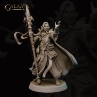 Fenton - Elf Wizard von Galaad Miniatures aus Into the...