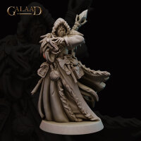 Northern Wizard von Galaad Miniatures aus Northern Release