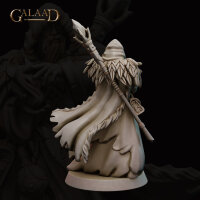 Northern Wizard von Galaad Miniatures aus Northern Release