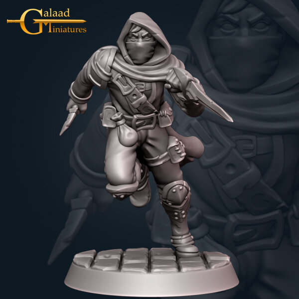 Aaron von Galaad Miniatures aus November Release Rogues