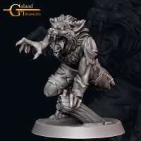 Werewolf Bundle Set von Galaad Miniatures