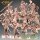 Heroes Bundle Set von Galaad Miniatures