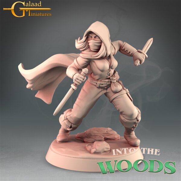 Rogue von Galaad Miniatures aus Heroes Bundle