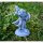 Explorer Adventurer von Galaad Miniatures aus Heroes Bundle