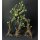 Treant von Galaad Miniatures aus Bandits Bundle