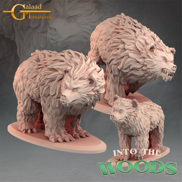 Bears von Galaad Miniatures aus Heroes Bundle