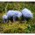 Bears von Galaad Miniatures aus Heroes Bundle