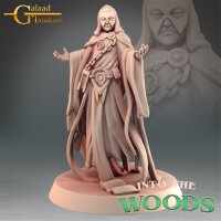 Necromancer von Galaad Miniatures aus Heroes Bundle