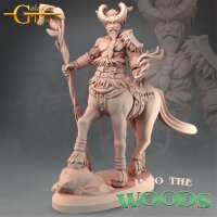 Centaurs Bundle Set von Galaad Miniatures