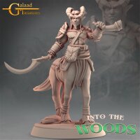 Centaurs Bundle Set von Galaad Miniatures