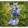 Centaur 05 von Galaad Miniatures aus Centaurs Bundle