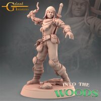 Bandits Bundle Set von Galaad Miniatures
