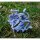 Plant von Galaad Miniatures