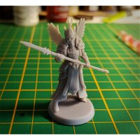 Guard von Galaad Miniatures aus Heroes Bundle