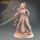 Female Asian Fighter von Galaad Miniatures aus Heroes Bundle