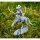 Centaur von Galaad Miniatures