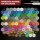 The Army Painter - Wargamers Paint Set - Warpaints Fanatic
