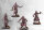Conquest Old Dominion: Hashashin