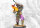 Conquest Sorcerer Kings: Raj