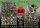 Conquest Wadrhun Charge of the Tribes 2000pt Army