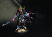 Conquest Nords: Captain (Officer)