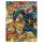 D&D - Odysseys of Theros Hard Cover - EN