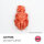 AK QUICK GEN Vivid Flesh 18ml