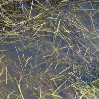 AK Still Water – 250ml (Acryl)
