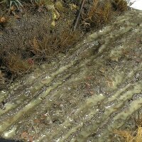 AK Terrains Wet Ground – 250ml (Acryl)