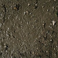 AK Terrains Wet Ground – 250ml (Acryl)