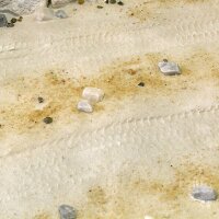 AK Terrains Desert Sand – 250ml (Acryl)