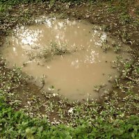 AK Puddles – 60ml (Acryl)