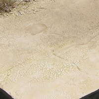 AK Light and Dry Crackle Effetcs - 100ml (Acryl)