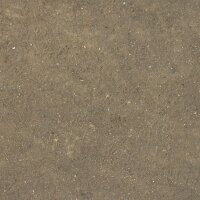 AK Splatter Effects Dirt - 100ml (Acrylic)