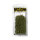AK Summer Green Shrubberies