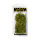 AK Blomming Yellow Shrubberies
