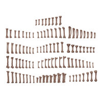 AK Human Bones - Basing Bits (120 Teile)