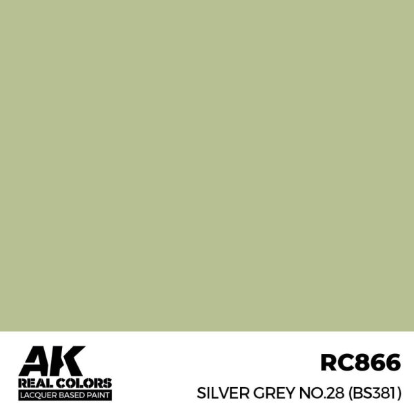AK Real Colors Silver Grey No.28 (BS381) 17 ml