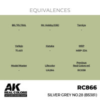 AK Real Colors Silver Grey No.28 (BS381) 17 ml