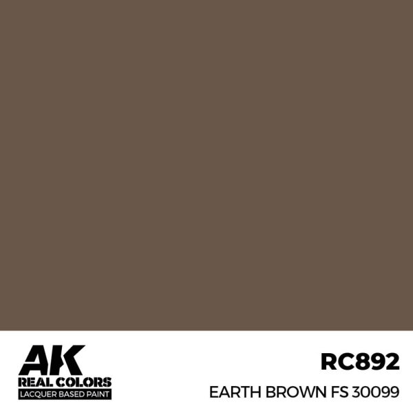 AK Real Colors Earth Brown FS 30099  17 ml
