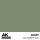 AK Real Colors Pale Green FS 34227 17 ml