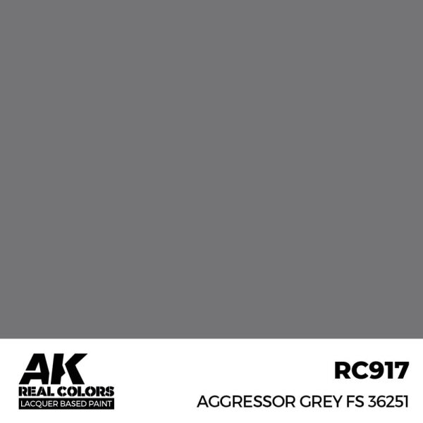 AK Real Colors Aggressor Grey FS 36251 17 ml
