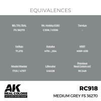 AK Real Colors Medium Grey FS 36270 17 ml