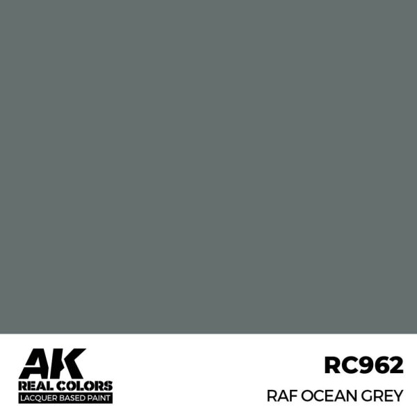 AK Real Colors RAF Ocean Grey 17 ml