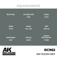 AK Real Colors RAF Ocean Grey 17 ml