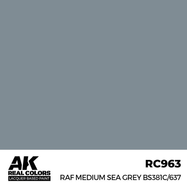 AK Real Colors RAF Medium Sea Grey BS381C/637 17 ml