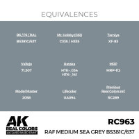 AK Real Colors RAF Medium Sea Grey BS381C/637 17 ml