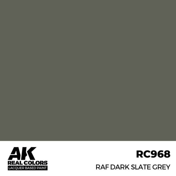 AK Real Colors RAF Dark Slate Grey 17 ml