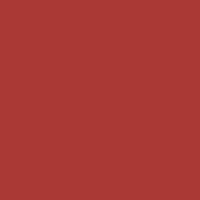 Vallejo Fantasy Color Primer Scarlet Red